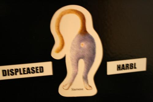 LOLcat butt