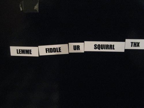 Lemme fiddle yer squirrl thx