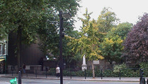 Old St Marylebone Parish Church Garden