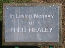 Fred Healey
