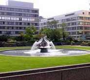 St Thomas' Hospital