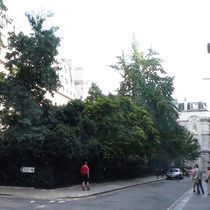 Pepys and Navy Office