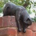 Sculpture