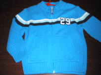Gymboree Boys Sweatshirt - Pullover 2T