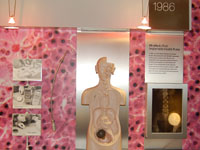 The implantable pump display from the Medtronic Diabetes Education Center in Northridge, CA.