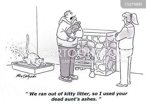 Kitty Litter Cartoons and Comics funny pictures from CartoonStock