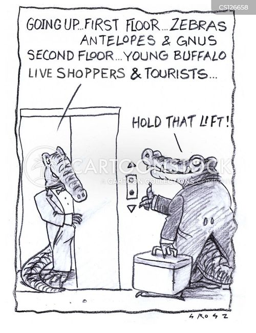Elevator Operator Cartoons and Comics funny pictures from CartoonStock