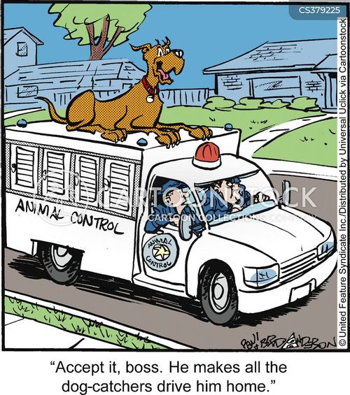 Animal Shelters Cartoons and Comics funny pictures from CartoonStock