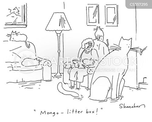 Cat Litter Cat Litters Cartoons and Comics funny pictures from