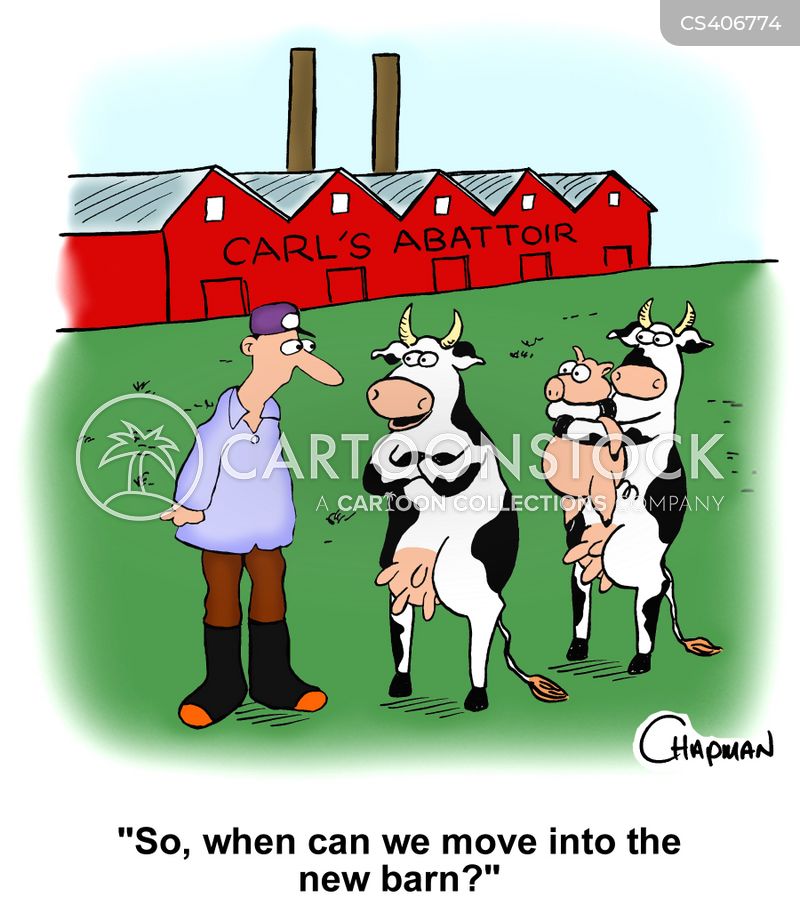 Beef Farms Cartoons and Comics funny pictures from CartoonStock