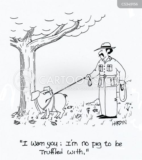 Truffle Cartoons and Comics funny pictures from CartoonStock