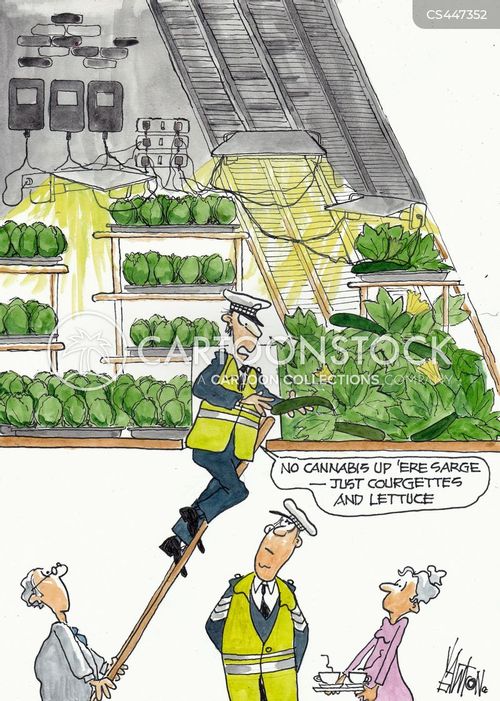 Courgettes Cartoons and Comics - funny pictures from ...