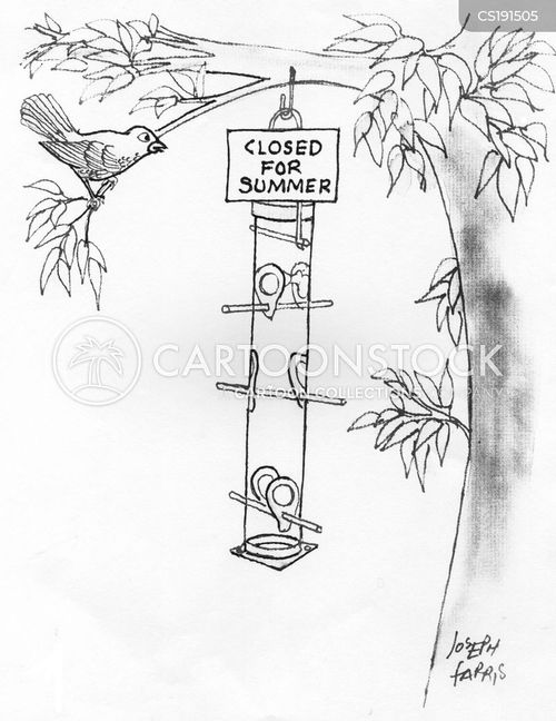 Bird Feeders Cartoons and Comics funny pictures from CartoonStock