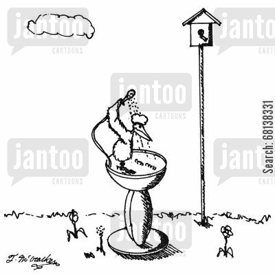 bird bath cartoons - Humor from Jantoo Cartoons