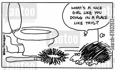 Toilet Brush Joke: Why This Simple Tool Still Sparks Laughter