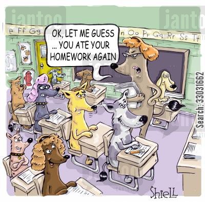 Late work policy for online classes image