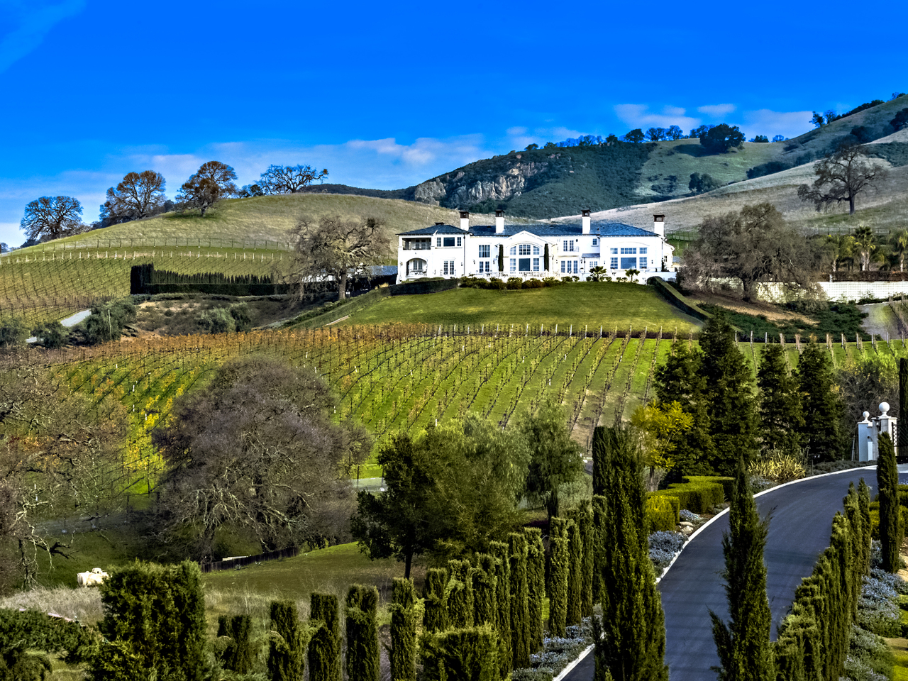 Serenity Lane Estate