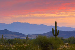 Arizona enjoys a beautiful sunrise and great opportunities for homebuyers.