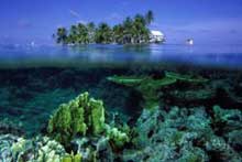 Belize's beautiful Barrier Reef.