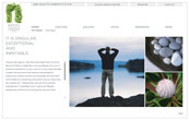 XML driven website