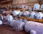 MEDZ  Motors, A.C. - MachineTools.com