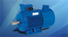 WONDER WVF 80-355 Motors, A.C. - MachineTools.com