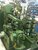 BARBER COLMAN 6-16 Talladoras de Engranes - MachineTools.com