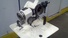 CHRISTEN 2-32 SELECT-A-POINT Grinders, Drill - MachineTools.com CHRISTEN 2-32 SELECT-A-POINT Grinders, Drill - MachineTools.com
