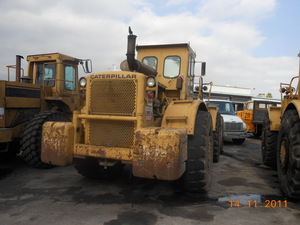 Cat_front_loader_1