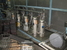 LEWIS CRRC-3024-4265 清洗機 - MachineTools.com