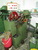 CHIEN TSAI 583-9-M3X25 Forgeage à froid - MachineTools.com CHIEN TSAI 583-9-M3X25 Forgeage à froid - MachineTools.com