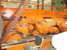 ACCO 크레인, 브릿지 및 오버헤드 - MachineTools.com ACCO 크레인, 브릿지 및 오버헤드 - MachineTools.com