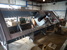 DAKE 600T Prensas, Rodas - MachineTools.com DAKE 600T Prensas, Rodas - MachineTools.com