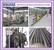 SUNRISE CNC TBL2020 Celdas para Punzonado y Cizallado - MachineTools.com