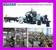 SUNRISE CNC TAMP2020 펀치, 각도 - MachineTools.com