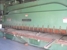CINCINNATI 6S20 Shears, Power Squaring (In) - MachineTools.com CINCINNATI 6S20 Shears, Power Squaring (In) - MachineTools.com