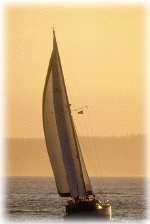elizabeth_city_sail.jpg (150x224)px