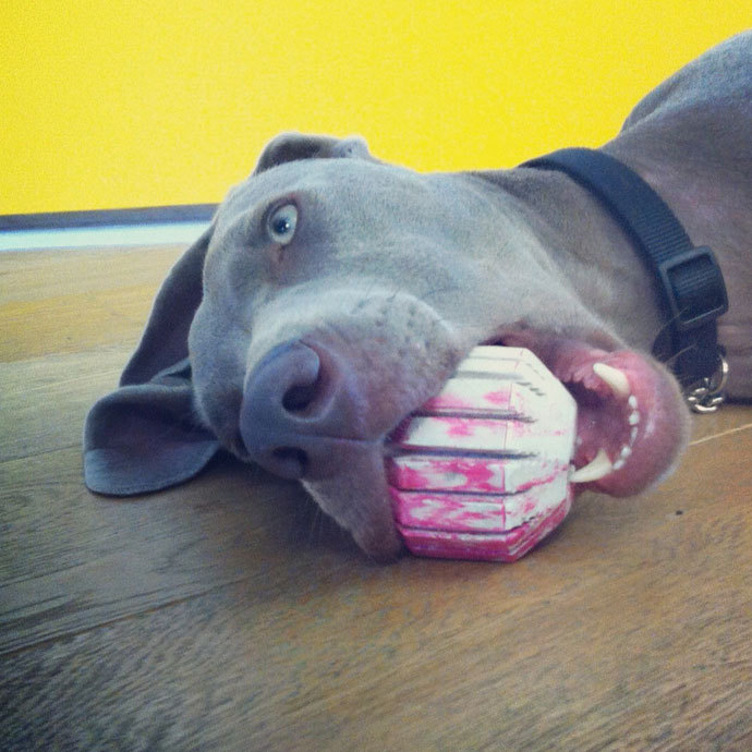 Mondays