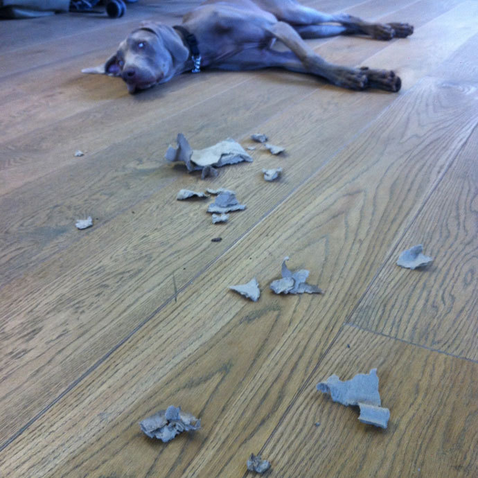 Destruction