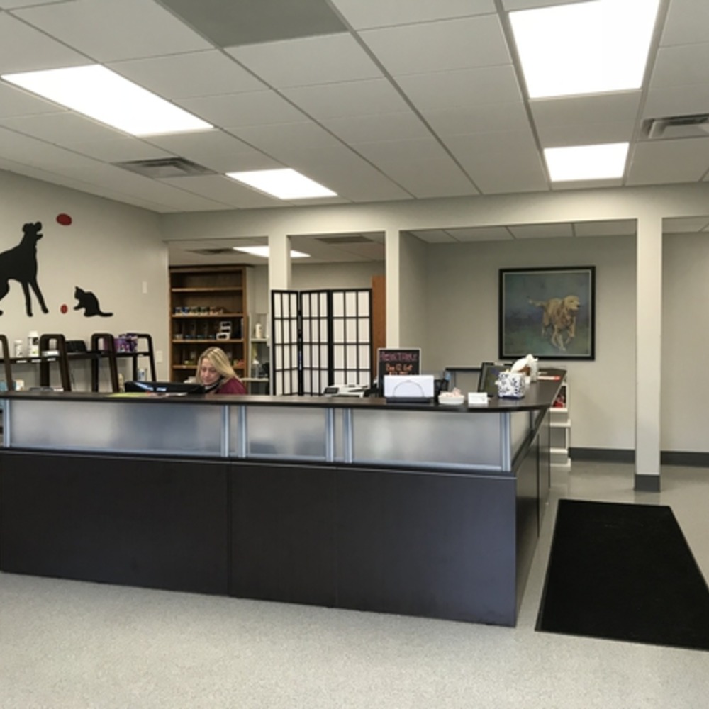 Mad River Veterinary Hospital Tour