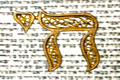 עליזה נצר למשפחת צדיקים