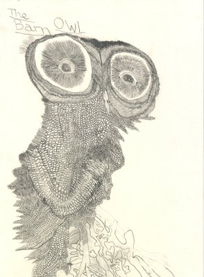 Fine Art Print of The Barn Owl by Arthouse Group Work