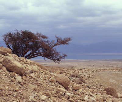 Fine Art Print of Dead sea against sky by Assaf Frank