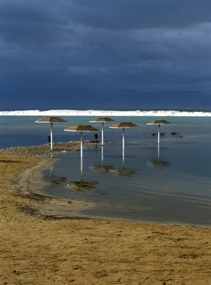 Fine Art Print of Beach Umbrellas, Dead sea Israel by Assaf Frank