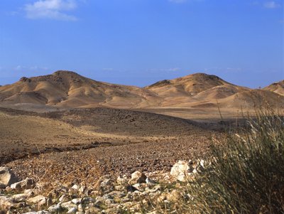Fine Art Print of Desert against sky, Israel by Assaf Frank