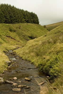 Fine Art Print of Streem through valley, Wales, UK by Assaf Frank