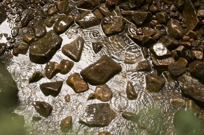Fine Art Print of Stones in water,Wales, UK by Assaf Frank