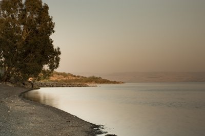 Fine Art Print of Beach against sky, Sea of Galilee at dusk, Israel by Assaf Frank