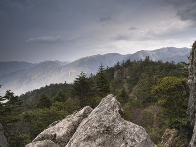 Fine Art Print of Shennongjia National Park, china, elevated view by Assaf Frank