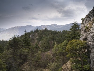 Fine Art Print of Shennongjia National Park, china, elevated view by Assaf Frank